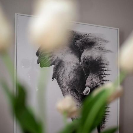 Apartment Aloha 特雷比涅 外观 照片